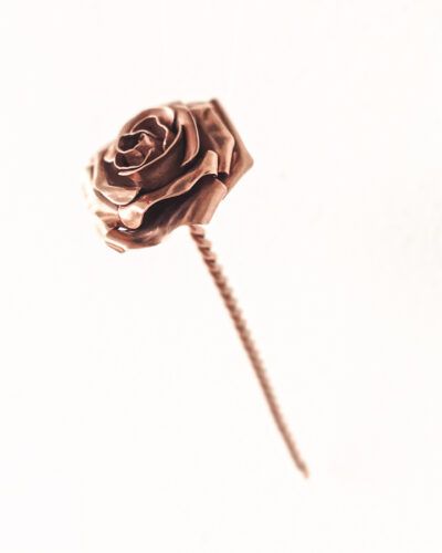 Aguja de cabello «La Rosa del Drac»