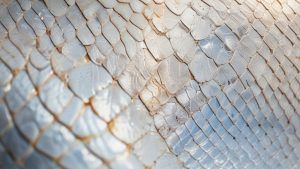 El origen del mito ancestral del dragón: de protector celestial a monstruo temido